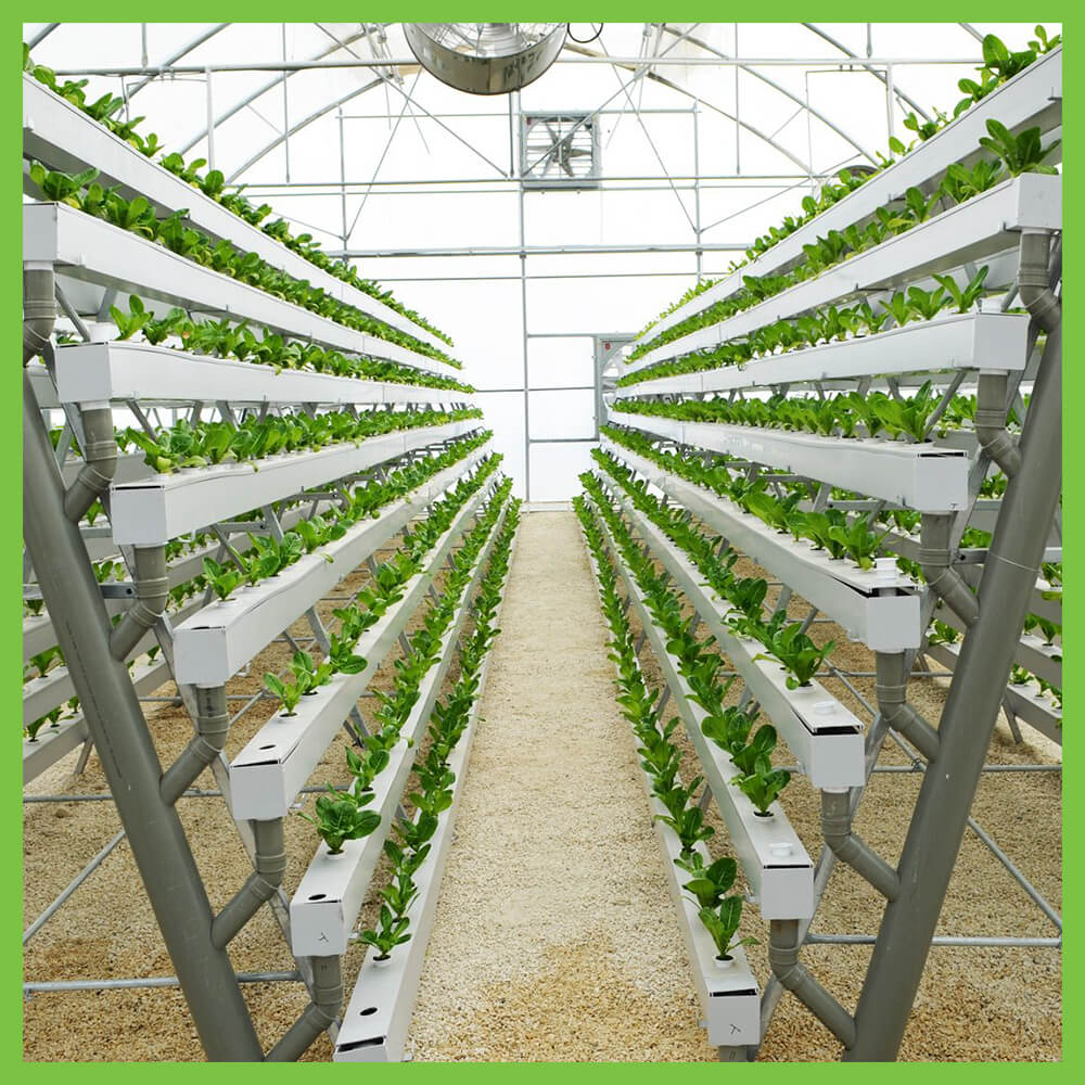 Hydroponics Vertical Layered Farming Stacks